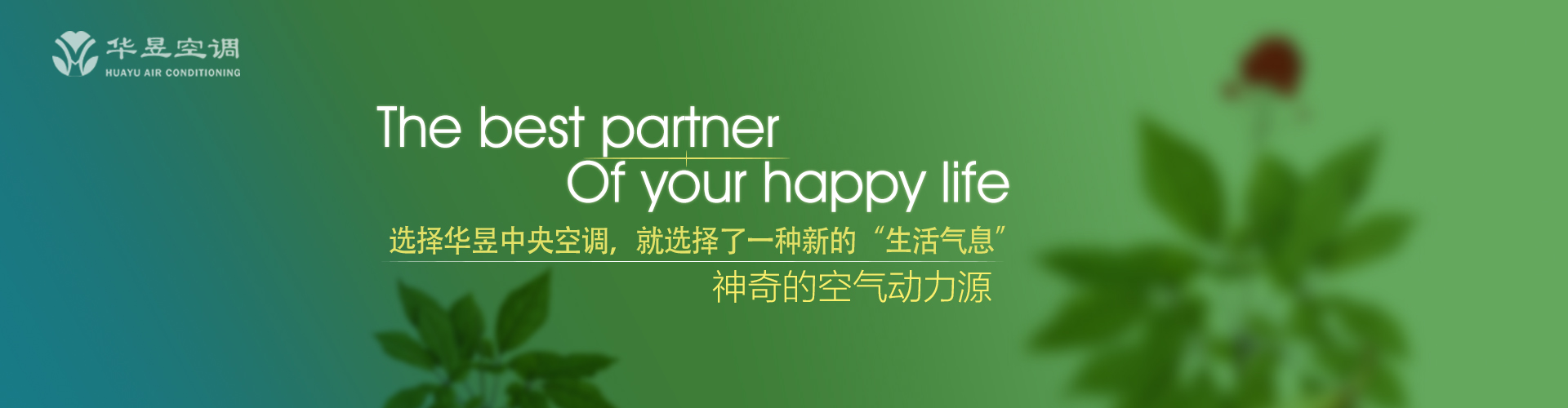 胆战心慌网